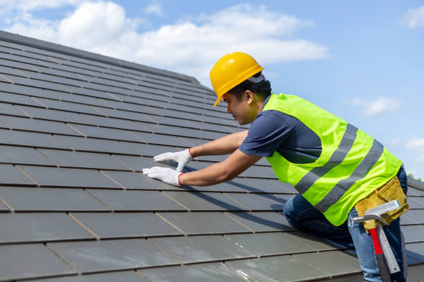 Best Solar Panel Roofing Installation  in Hampton, AR